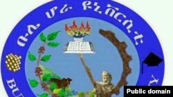 ቡሌ ሆራ ዩኒቨርስቲ 