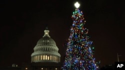The U.S. Capitol Christmas Tree is lit up during a ceremony on the West Front of the Capitol in Washington, Dec. 6, 2016.
