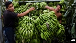 Workers unload bananas from a truck in La Terminal market, Guatemala City. (file) 