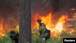 Firefighter Keith McMillen (R) keeps watch over a controlled burn while battling the Carlton Complex Fire near Winthrop, Washington, July 19, 2014.