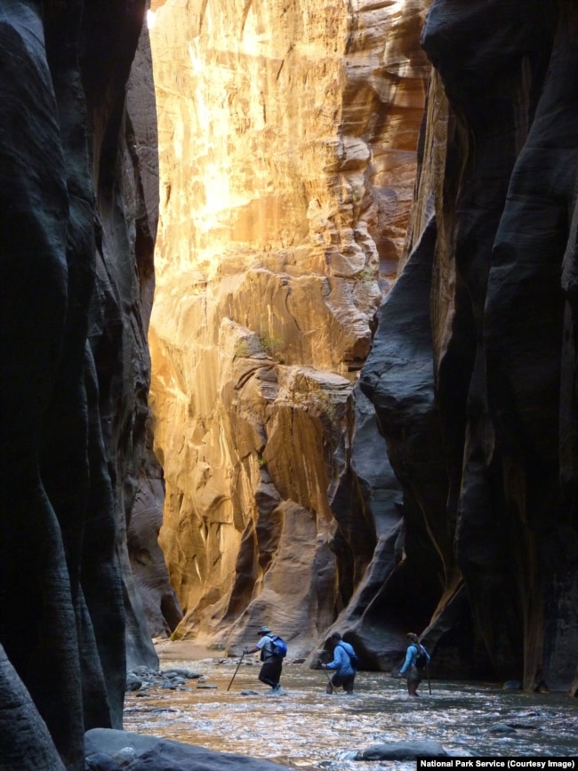 Hikers walk in the Virgin River, in The Narrows