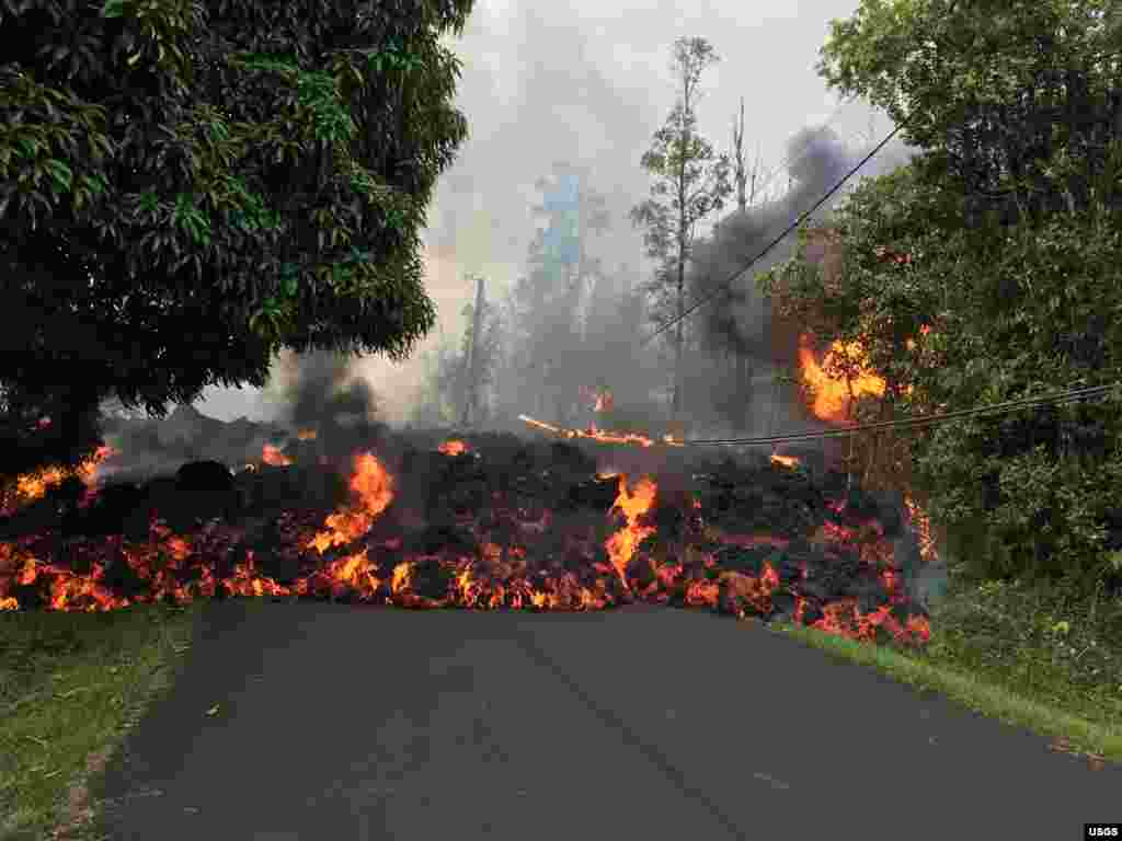 미국 하와이주 킬라우에아 화산에서 분촐된 용암이 도로에서 불길을 내뿜으며 흐르고 있다.