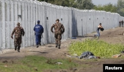 A migrant crosses the boarder fence as soldiers and police try to catch him close to a migrant collection point in Roszke, Hungary, Sept. 12, 2015.