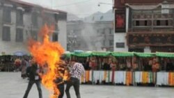 What Causes Tibetans to Self-Immolate?