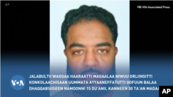 Magaalaa Niwuu Orliinsitti Konkolaachisaan Tokko Namoota Jalabultii Waggaa Haaraaf Walgahanitti Oofuudhaan Namoota 15 Galaafatee 30 Madeesse