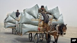 Uighur men ride their horse carts during a sandstorm as they deliver hay around the Paklamakan desert, some 100km [63 miles] east of Yecheng, in the region of Xinjiang, China, April 2008. (file photo)