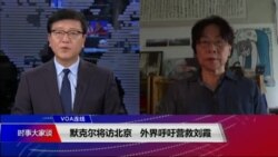 VOA连线(廖天琪)：默克尔将访北京，外界呼吁营救刘霞