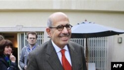 Мохамед Элбарадеи, бывший руководитель ООН ядерного охранительного агентства и реформистский лидер Египта