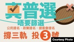 真普選聯盟宣傳全民投票（真普選聯盟網站圖片）