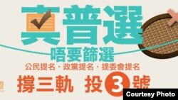 真普选联盟宣传全民投票（真普选联盟网站图片）