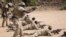 Des soldats des forces spéciales sénégalaises lors des manouvres dénommées Flintlock près de Po, au Burkina Faso, le 23 février 2019. (Archives)
