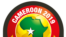Le logo de la Can 2019
