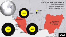 19일 현재 서아프리카 국가별 에볼라 감염자 숫자를 나타낸 도표.