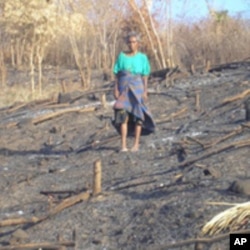 Slash and burn farming in Timor, Indonesia (ANTARA).