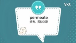 学个词 - permeate