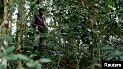 Seorang pemberontak FDLR bersembunyi di sebuah hutan di Kongo timur (foto: dok).