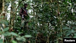 Un milicien FDLR dans l'est de la RDC. (Photo Reuters)