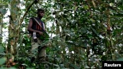 Un combattant du groupe rebelle FDLR aperçu dans une brousse de l'est du Congo. (Archives)