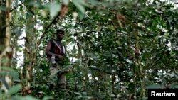 FILE - A fighter from the FDLR rebel group, which is being hunted by the Rwandan and Congolese armies, stands guard deep in the bush of eastern Congo.