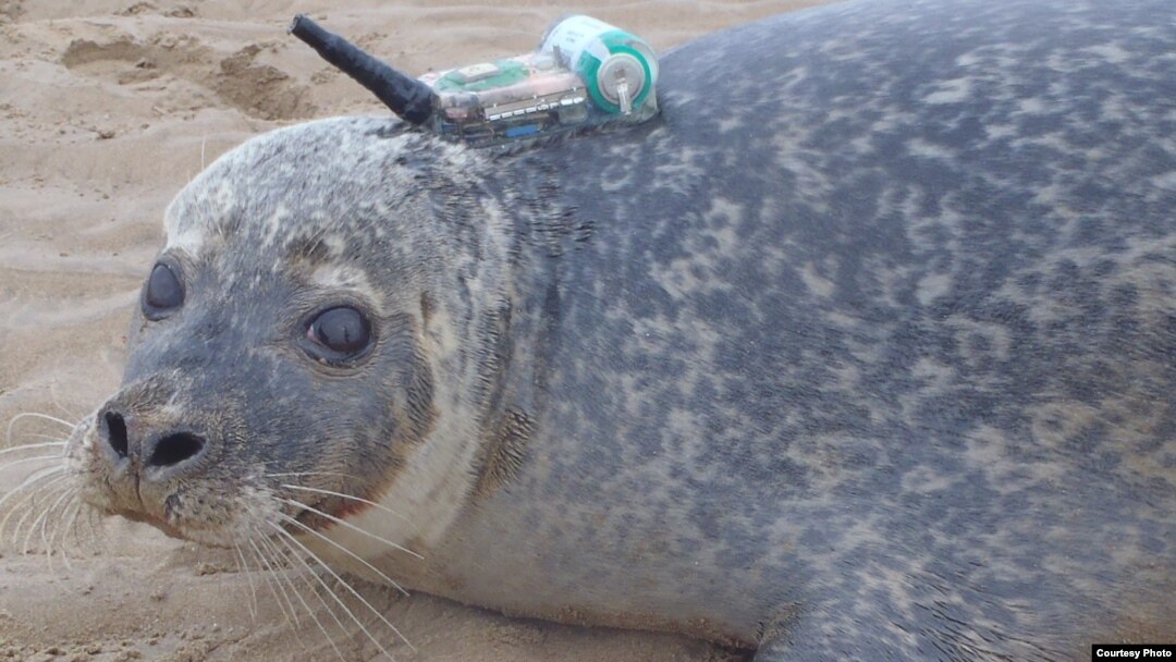 3612596e-df0d-4f54-b5e6-