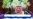Saudi King's Speech Makes No Mention of Slain Journalist