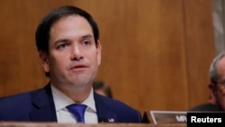 资料照：共和党联邦参议员鲁比奥（Sen. Marco Rubio, R-FL）2018年7月25日在听证会上发言。