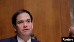 Thượng nghị sỹ Marco Rubio lên án Trung Quốc đàn áp ở Tân Cương