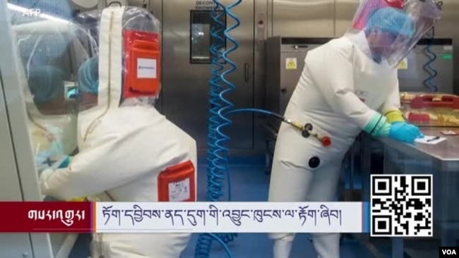Bên trong phòng thí nghiệm P4 của Viện Virus học Vũ Hán.