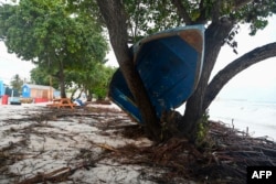 Čamac koji je odleteo na drvo na Barbadosu (Foto: AFP/Randy Brooks)