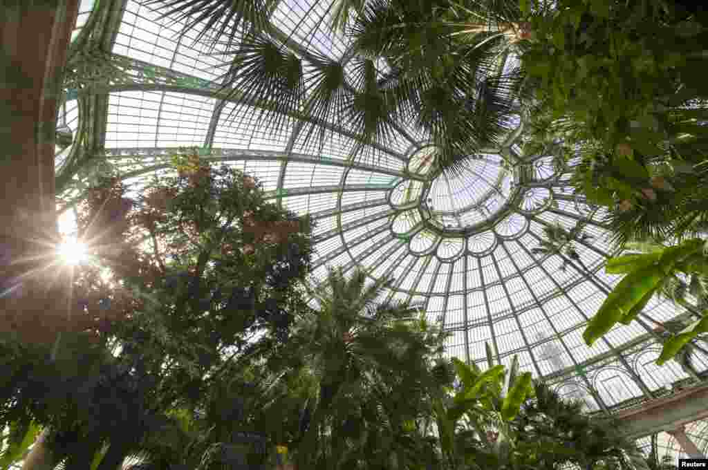 The greenhouses are seen on the grounds of the Belgian royal family residence of Laeken in Brussels. The royal family opens its greenhouses to the public every year for three weeks.