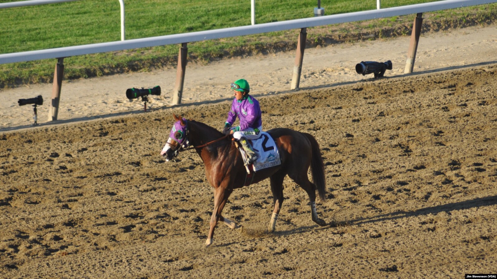 California Chrome