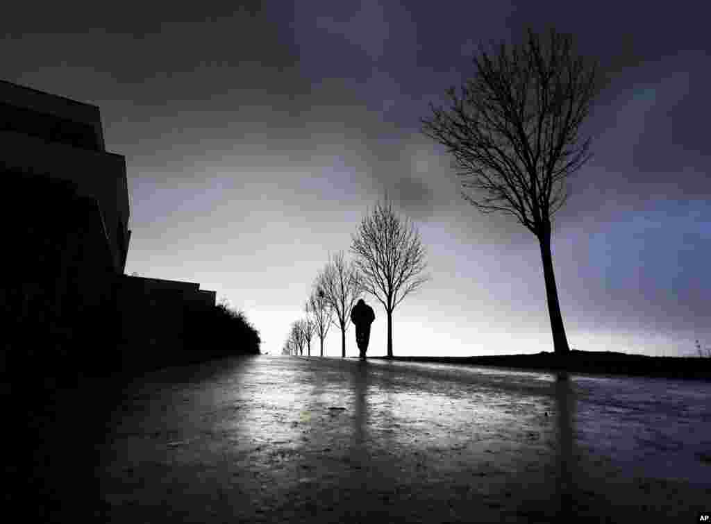 A man walks along trees in the outskirts of Frankfurt, Germany.