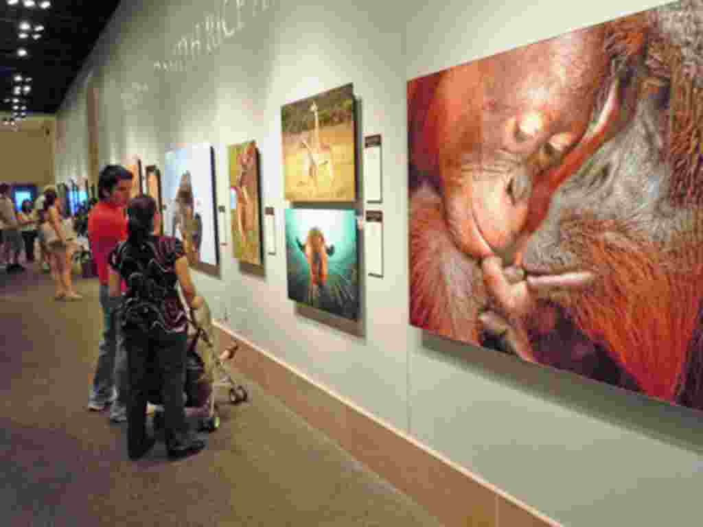 Visitors view one of the winning photos in the Nature’s Best Photography International Awards exhibit at the Smithsonian’s National Museum of Natural History in Washington, DC. (July 2011)