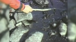 Exxon Valdez Ushers in New Era of Pollution Response