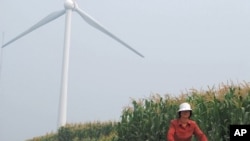 A resident bikes through the corn fields surrounding the Guanting Wind farm, 90 kilometers outside Beijing.