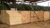 Autoridades angolanas fecham o cerco à exploração ilegal da madeira