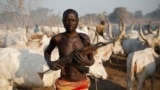 A man from Dinka tribe holds his AK 47 rifle in front of cows in a Dinka cattle herders camp near Rumbek, capital of the Lakes State in central South Sudan December 14, 2013. Picture taken December 14, 2013. REUTERS/Goran Tomasevic (SOUTH SUDAN - Tags: SO