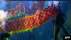 Kina fillon festimet për Vitin e Dragoit