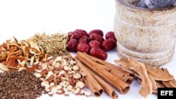 Traditional and Herbal Medicine