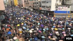 數以萬計香港市民7月27日自發到元朗遊行，抗議7-21襲擊案的白色恐怖，元朗大馬路被遊行人士逼爆。（攝影: 美國之音湯惠芸）