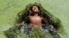 A boy jumps in a pond covered with algae at Kirtipur on the outskirts of Kathmandu.