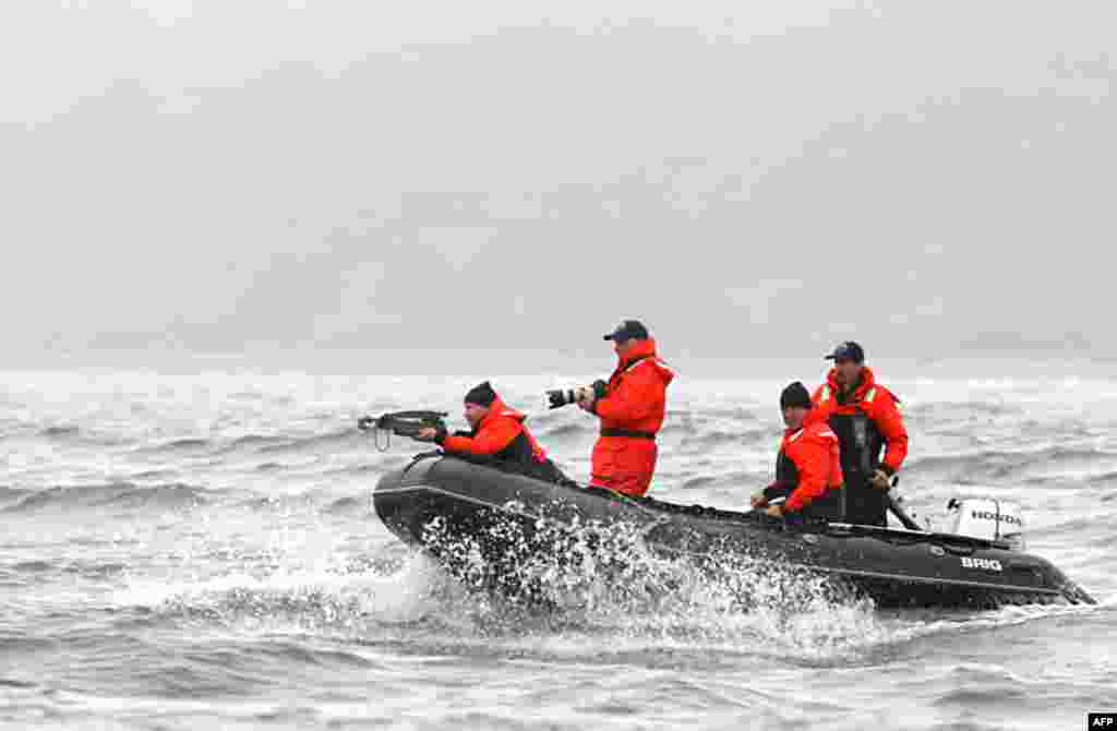 Путін у Японському морі під час полювання на сірого кита, який, до речі, під загрозою вимирання. 2010-ий рік.