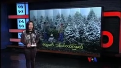 ခရစ္စမတ် သစ်ပင်ဝယ်ကြမယ်