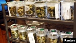 Aneka macam mariyuana yang dijual di Denver, Colorado, negara bagian yang sudah melegalkan mariyuana. (Foto: Dok)