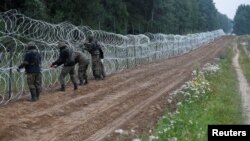 Польща укріплює кордон з Білоруссю