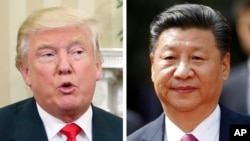 This combination of 2016 file photos shows, U.S. President Donald Trump and China's President Xi Jinping.