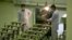 FILE - Iranian technicians work at a facility producing uranium fuel outside of Isfahan, 410 kilometers south of the capital, Tehran, April 9, 2009.