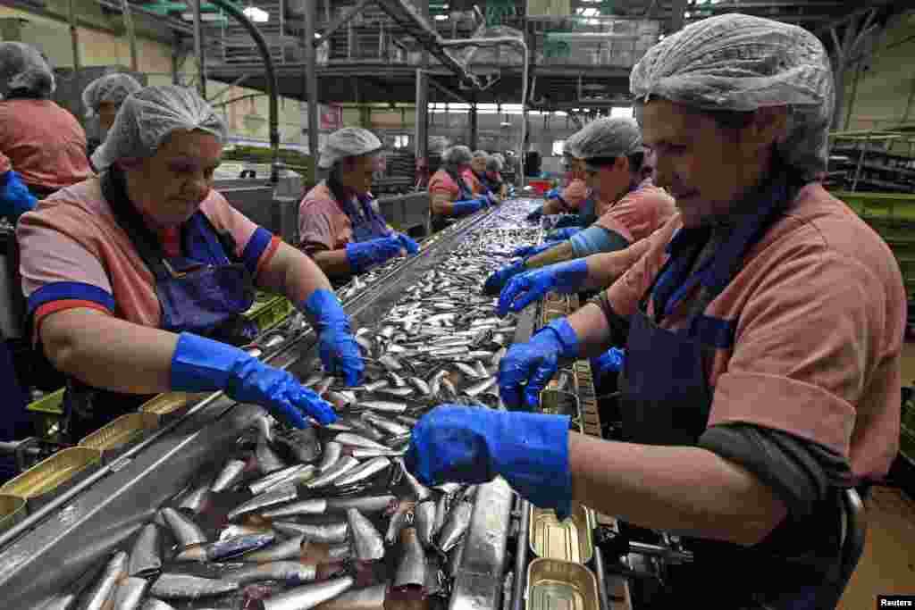 پرتگال سے دنیا کے 70 ممالک کو ڈبہ بند مچھلی برآمد کر دی جاتی ہے۔ 