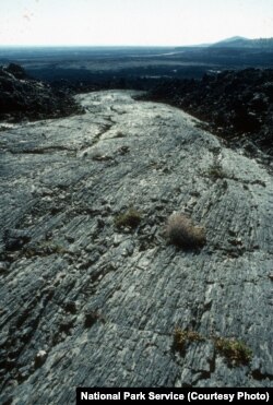 The solidified lava flows in the preserve are evidence of violent volcanic activity between 15,000 to just 2,000 years ago.