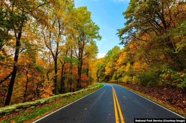 Fall colors in Shenandoah's north district